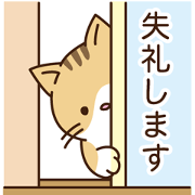 Cat of moderate honorific