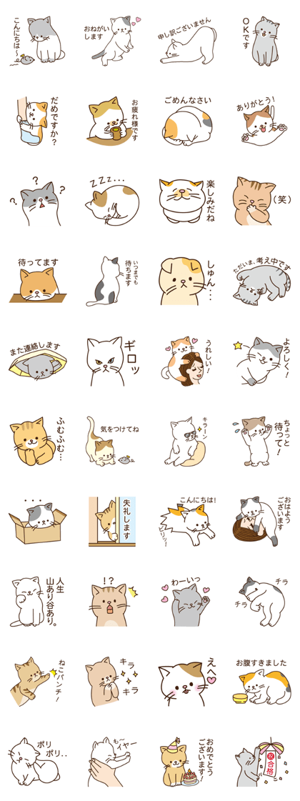 Cat of moderate honorific
