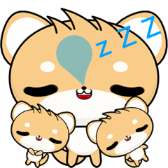 晴天柴 ( 哈哈 )    .