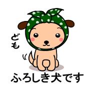 Scarf dog