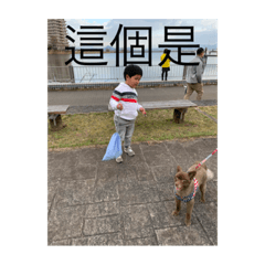 優輝和皓皓與姐姐的日常2