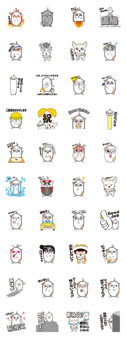 hamster"hamu" came home