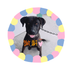 日常生活o(^▽^)o