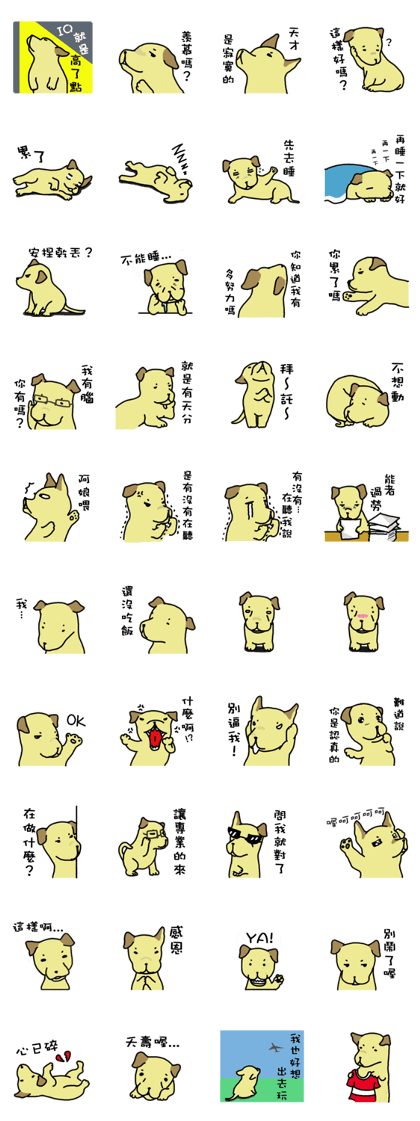 The voice of a smart Taiwan Dog