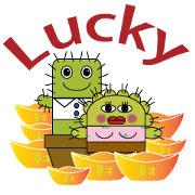 The Cactus Family (English Version)
