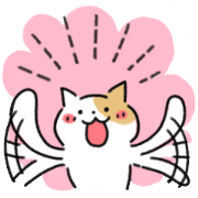 Soft Soft Cat