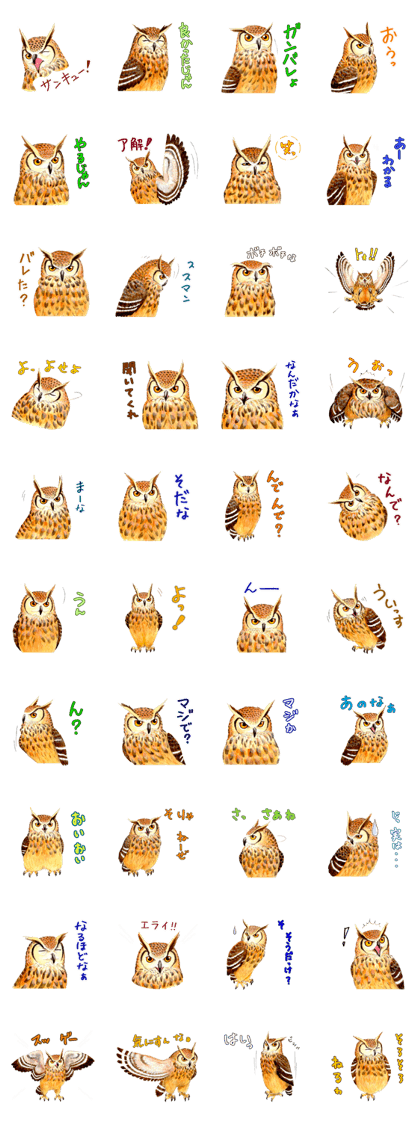 Cute horned owl Real style version