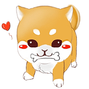Orange(Shiba Inu)