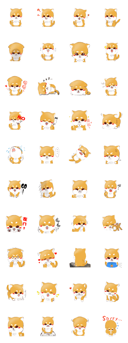 Orange(Shiba Inu)