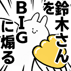 BIG Rabbits feeding [SUZUKI-san]