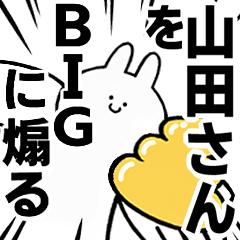 BIG Rabbits feeding [YAMADA-san]