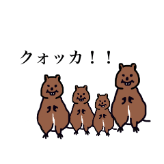 quokka!