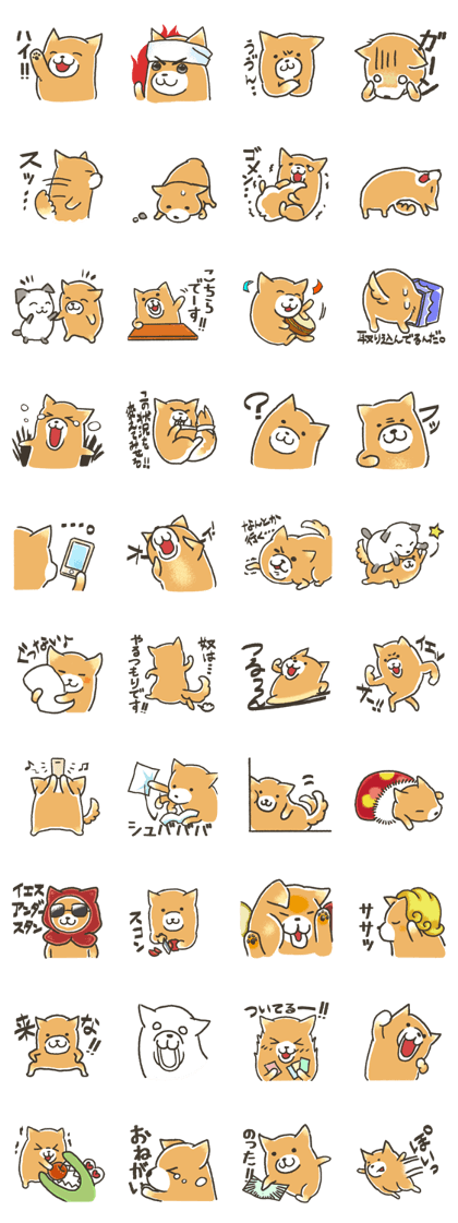Unrestrained Shiba Inu living