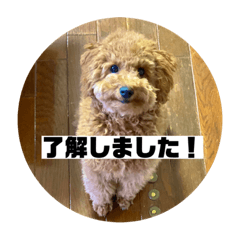 cherry_20200705134258