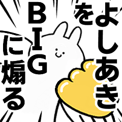 BIG Rabbits feeding [Yoshiaki]