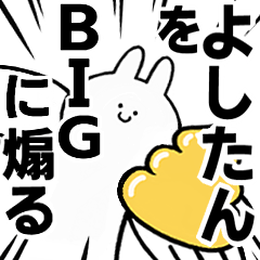 BIG Rabbits feeding [Yoshi-tan]