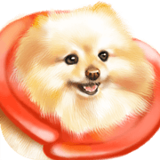 May the Pomeranian2.
