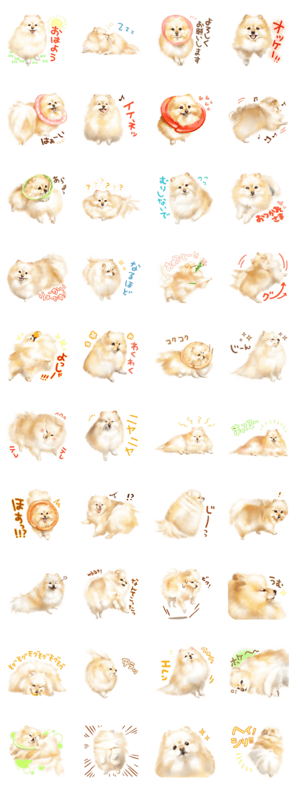 May the Pomeranian2.
