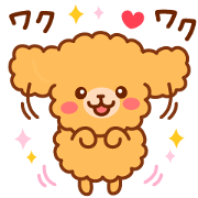 So lovely toy Poodle