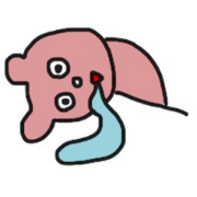 mokichi bear
