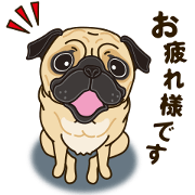 A sticker willingly. Pug