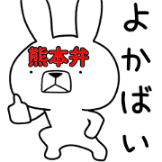 Dialect rabbit [kumamoto2]