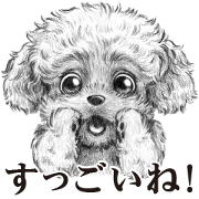 Eloquent dog's