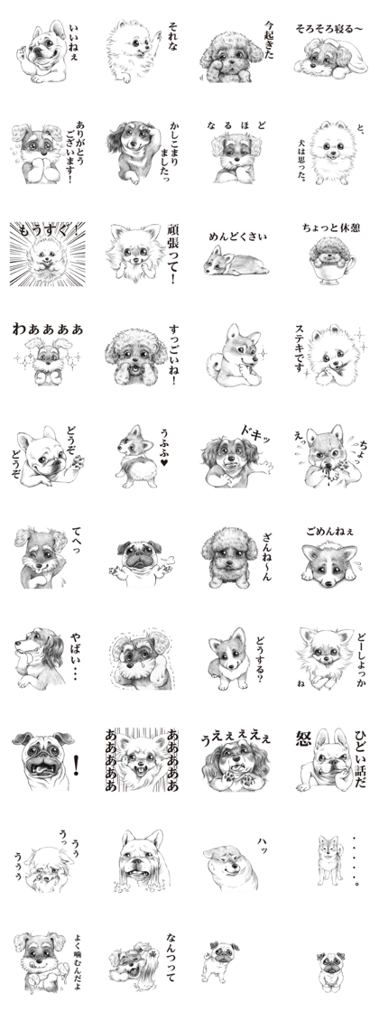 Eloquent dog's