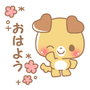 Happy pretty dog