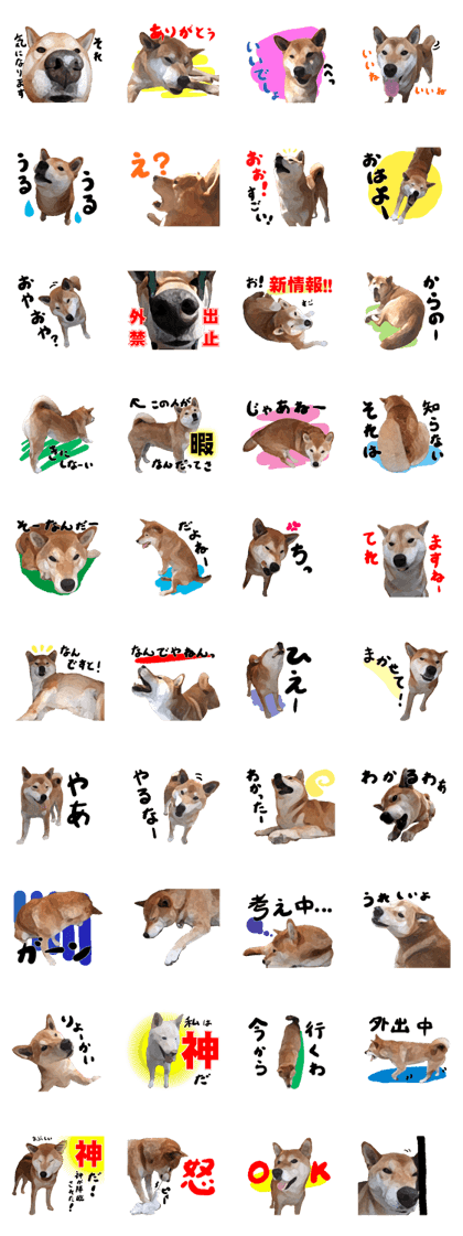 Sticker Shibainu(vol2)