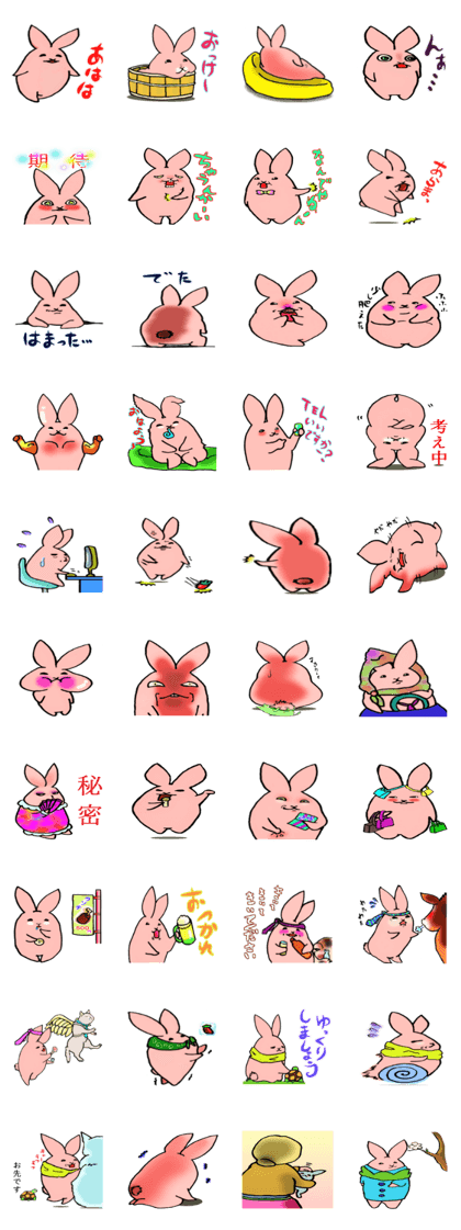 today is also rabbit.