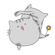 Gray-Nyanko
