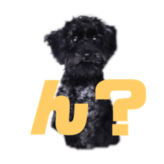 arisa_20200705181740