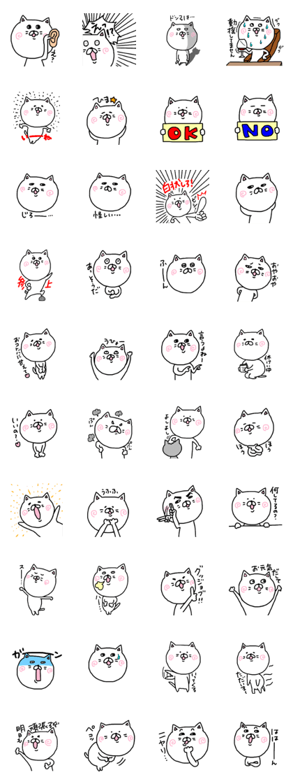 Cute white cat,Please buy!!2