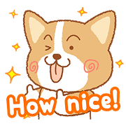 Laid-back every day of cute corgi dog.