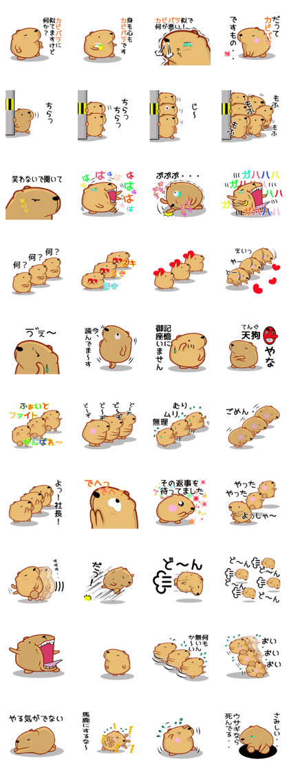 Kyapibara 7