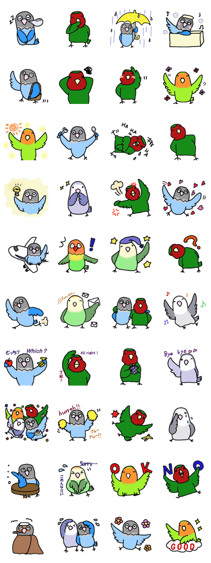 Pleasant lovebird2