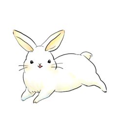 light-colored rabbit