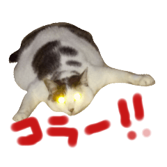 punipuni_20200705212813