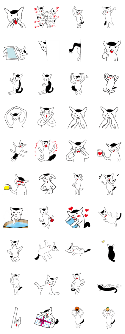 white cat black