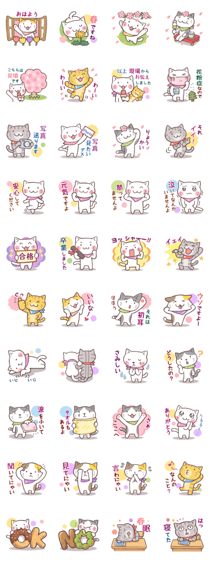 Sticker of spring cat