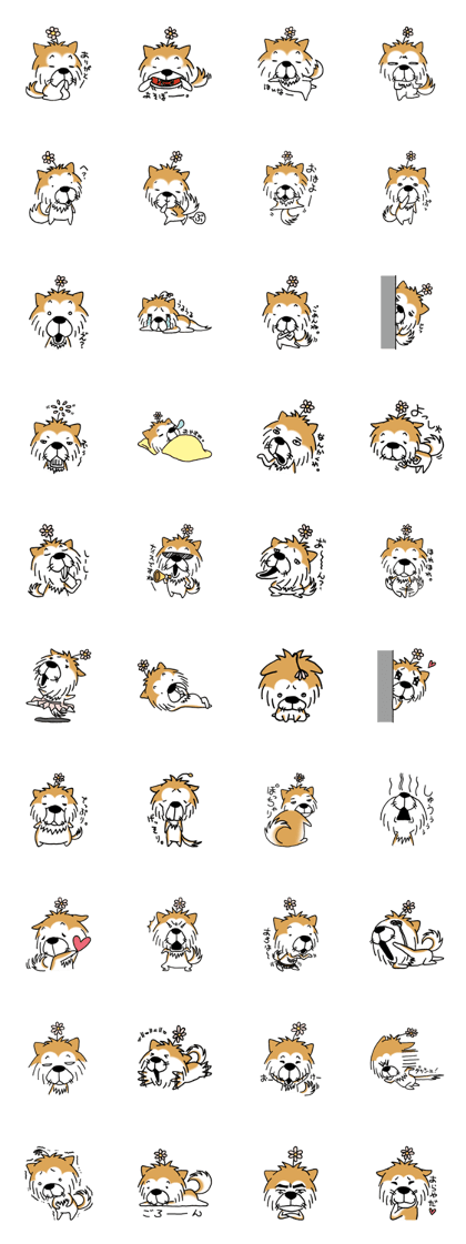 Lovely Akitainu