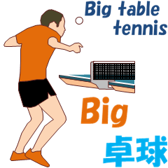 Big table tennis