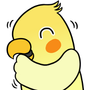 Sunshine the Cockatiel