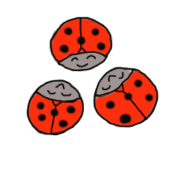 Full of ladybug