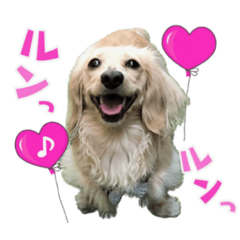 Rina_20200705222303