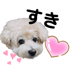 Bella_20200705144421