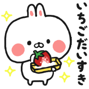 Spring rabbit