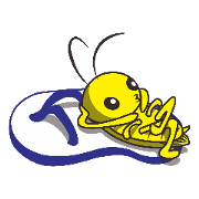 cockroch