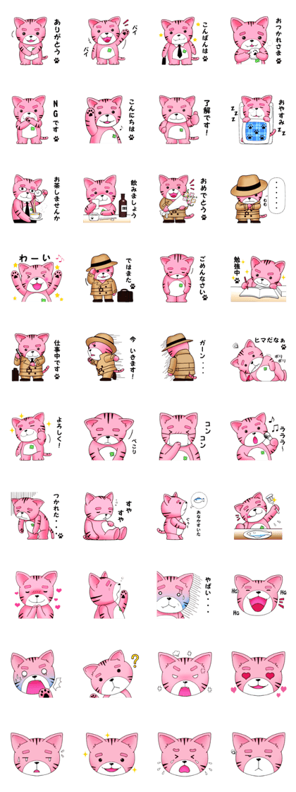 The pink cat BUCHA